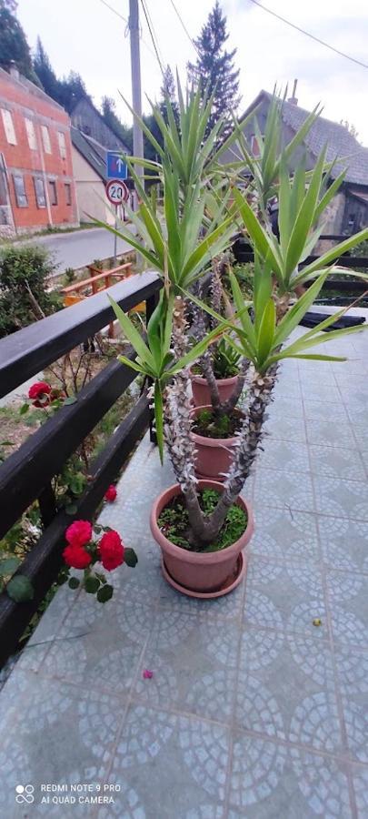 Apartman Sipak Fuzine Luaran gambar